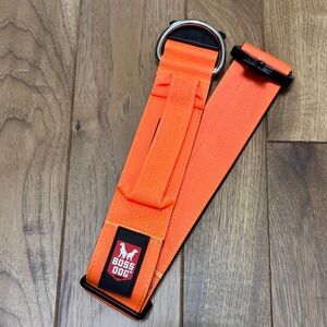 Boss Dog Blaze Orange Dog Collar
